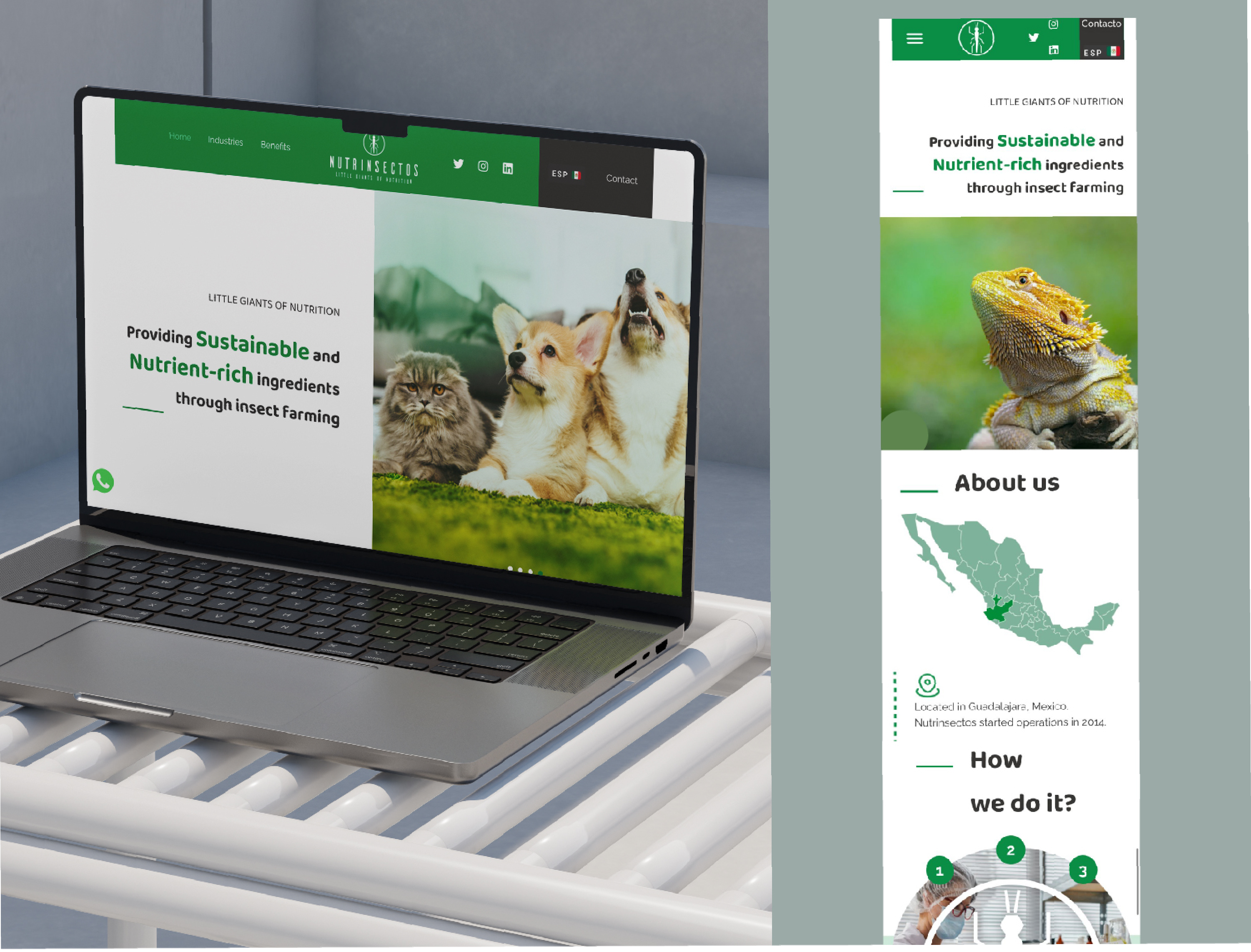 Nutrinsectos